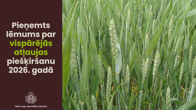 Kreisajā pusē teksts par vispārējās atļaujas piešķiršanu 2026. gadā; labajā pusē labības lauks