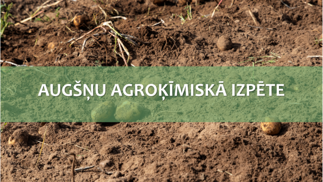 Teksts uz augsnes fona 