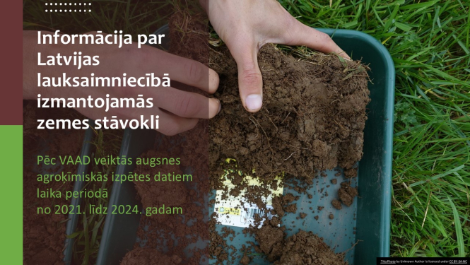 Rokas, trauks ar augsni, fonā zāle