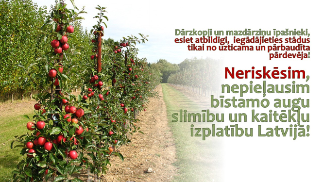 Kreisajā pusē ābeļdārzs ar sarkaniem āboliem, labajā - teksts