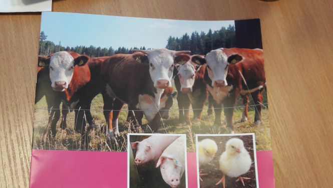 INTERREG projekts "Uzlaboti kūtsmēslu standarti ilgtspējīgai barības elementu pārvaldībai un emisiju samazināšanai" tuvojas noslēgumam