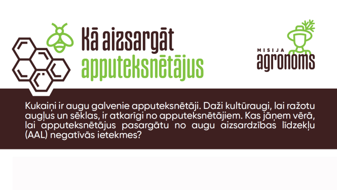 Fragments no infografikas