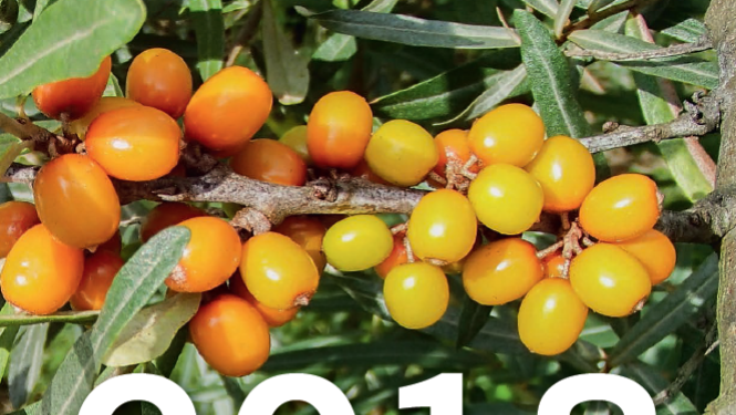 Izdots "Latvijas Republikā reģistrēto augu aizsardzības līdzekļu saraksts 2018"