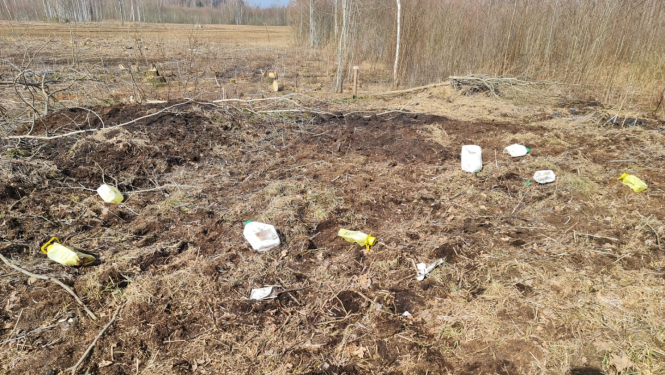 Laukums meža ielokā, kur redzmas izmētātas plastmas kanniņas