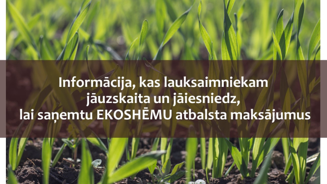 kultūraugu lauks ar virsraksta tekstu