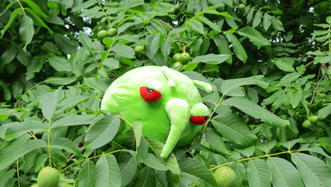 Pestijs - zaļa plīšu apaļa mantiņa ar sarkanām acīm, ielikts augos