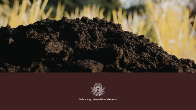Augsnes kaudze priekšplānā, fonā gaiši dzeltena zāle, priekšplānā VAAD logo