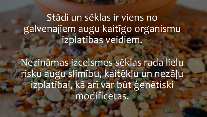 citāts no teksta, fonā satumšināts dažādu sēklu attēls