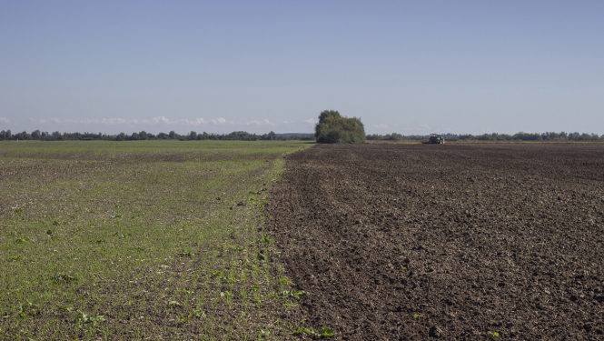 lauks pa pusei uzarts, pa pusei zaļš, tālumā traktors