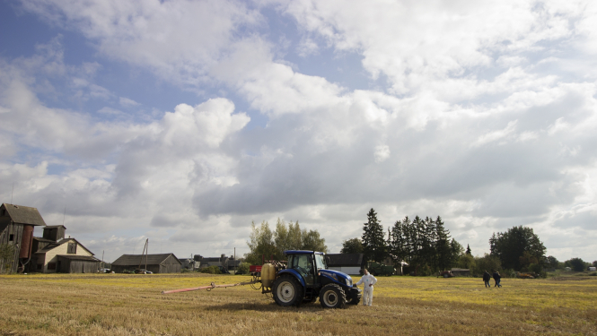 Smidzinātājs uz rugāju lauka