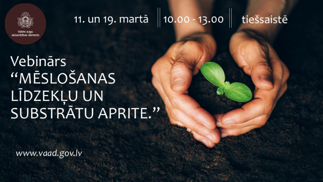 rokas sargā augu, apkārt tumša augsne