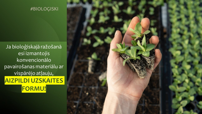 Ilustratīvs attēls (plauksta ar stadiņu, fonā stādiņi) un teksts