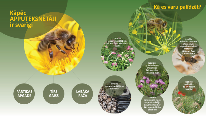 Infografikas vizualizācija