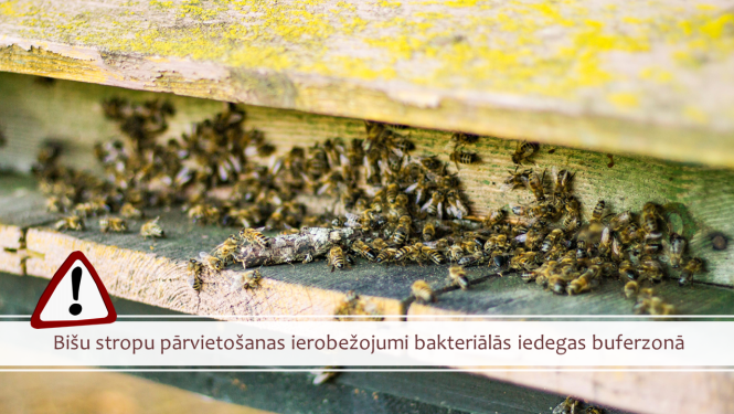 Bišu stropa skrejas attēls