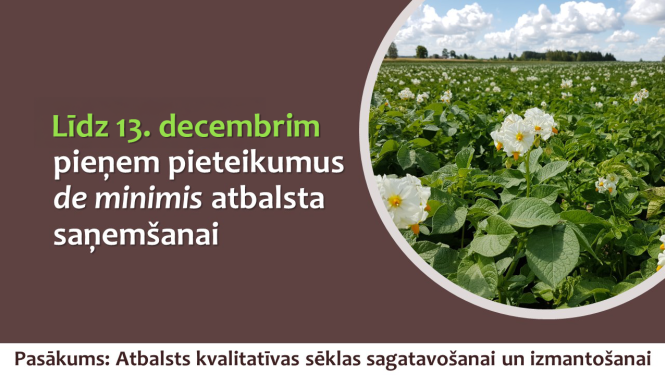 Ziedošs kartupeļu lauks. Uzraksts: Līdz 13. decembrim pieņem pieteikumus de minimis atbalsta saņemšanai 