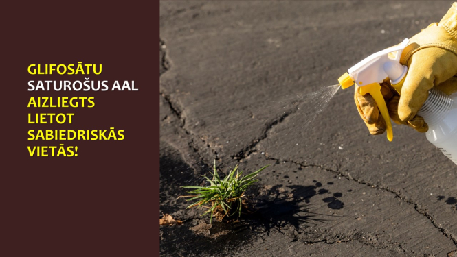 Starp asfaltu zāle ko apsmidzina rokā turot pulverizatoru