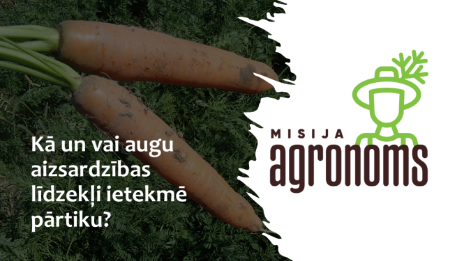 Fonā burkāni, ziņas nosaukums un kampānas logo