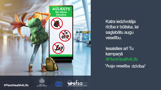 Zīmējums kampaņas stilā - meitene stāv pie lidostas banera, no mugursomas rēgojas augs, uz banera rakstīts, ka augi nav atļauti lidmašīnā