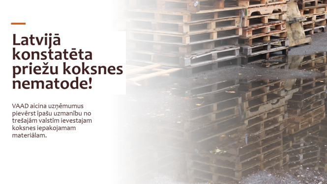 Fotoattēls ar paletēm un virsraksta teksts