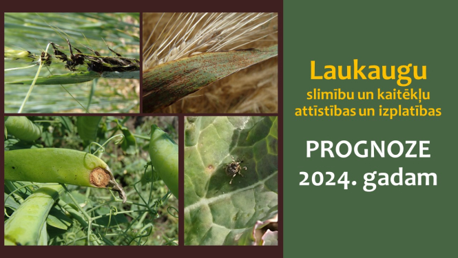 Kolāža no kaitēkļu un slimību attēliem un virsraksta teksta