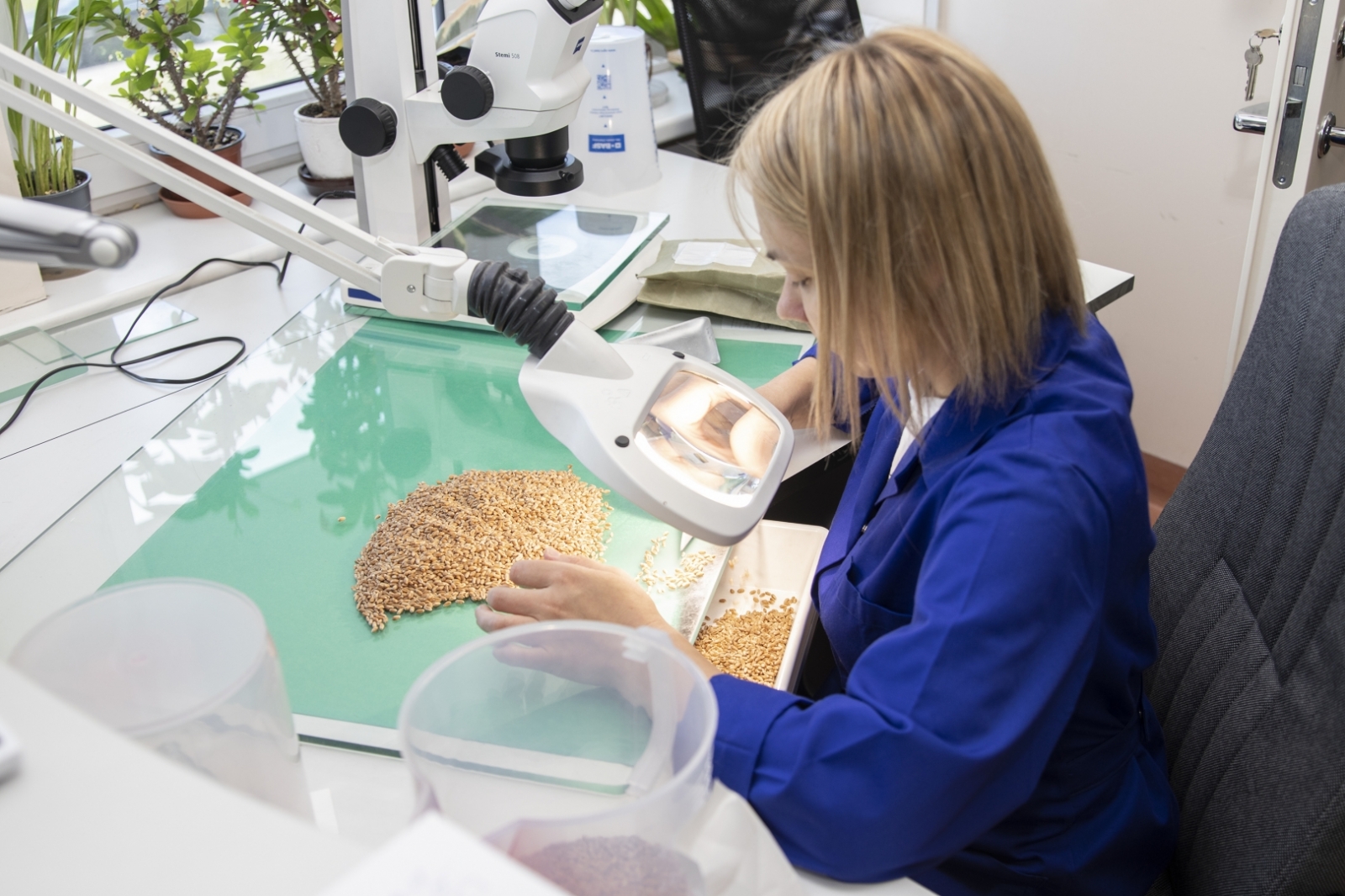 cilvēki laboratorijā