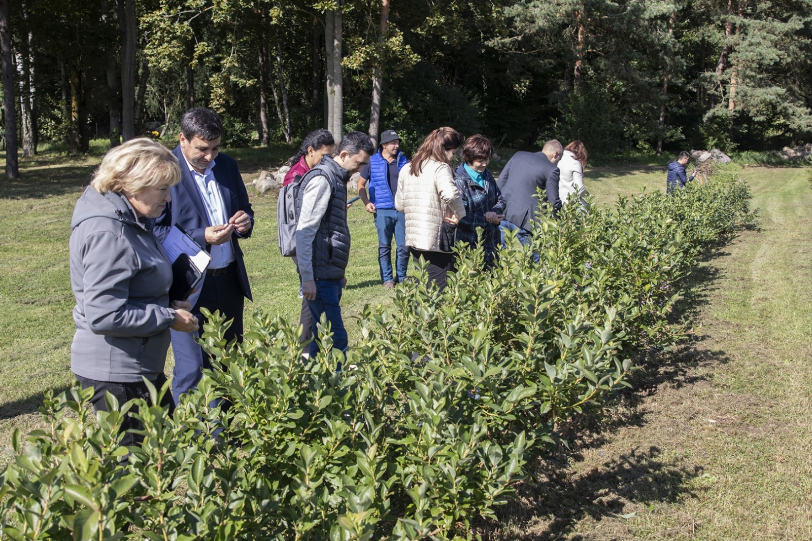 Ekperti augļkopības saimniecībā "Latroot"