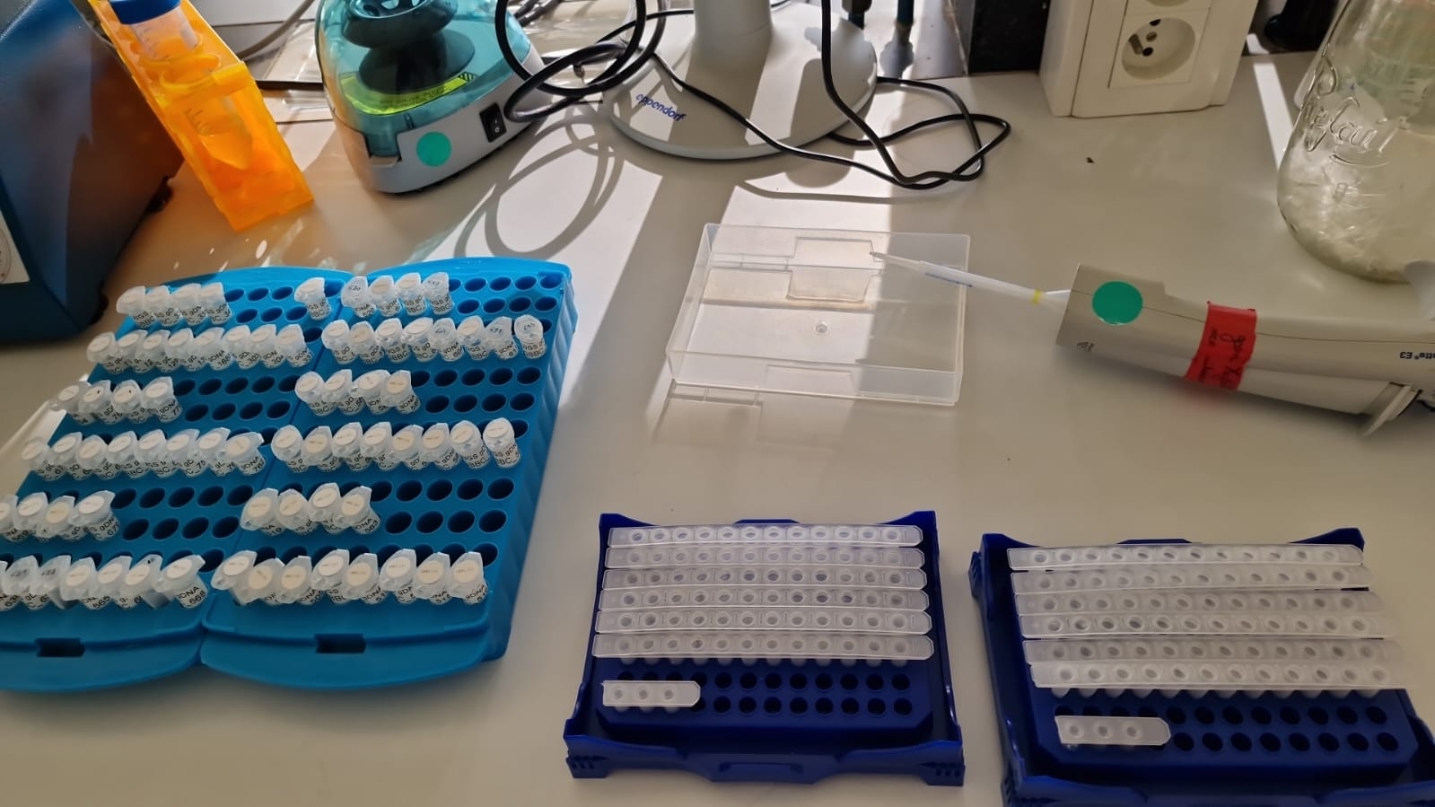 laboratorijas aprīkojums