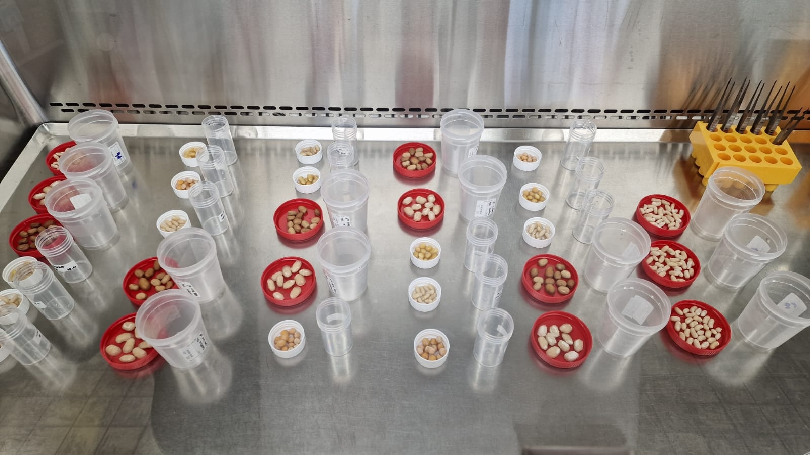 laboratorijas aprīkojums 