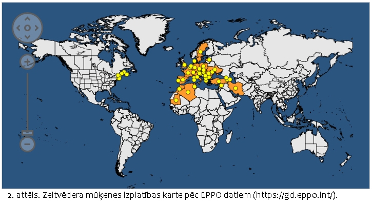 Zeltvēdera mūķenes izplatības karte