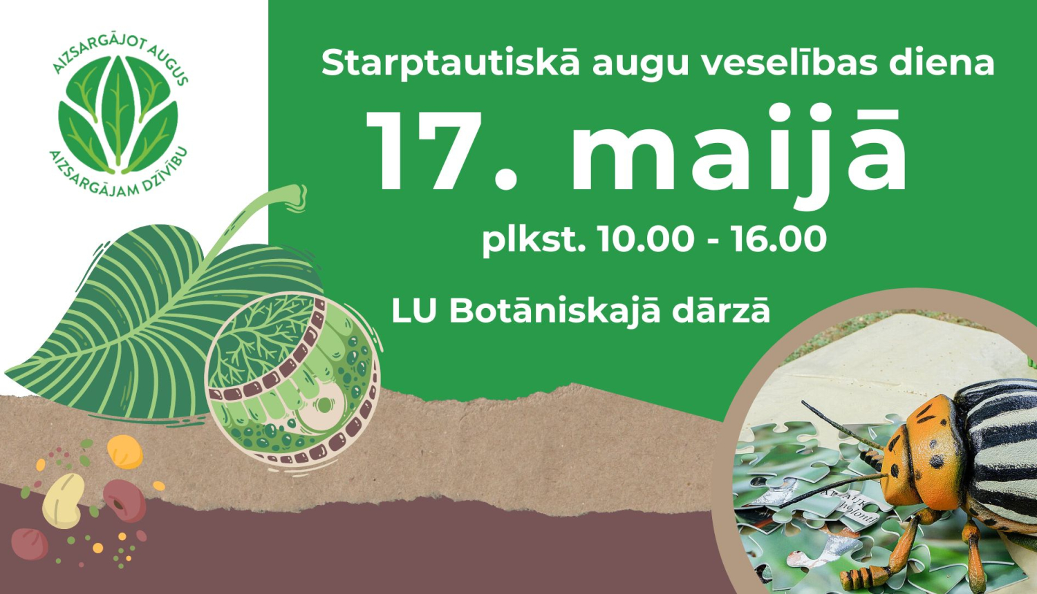 Paasākuma afiša, zaļas lapiņas, kartupeļu lapgrauža makets, Augu veselības dienas logo