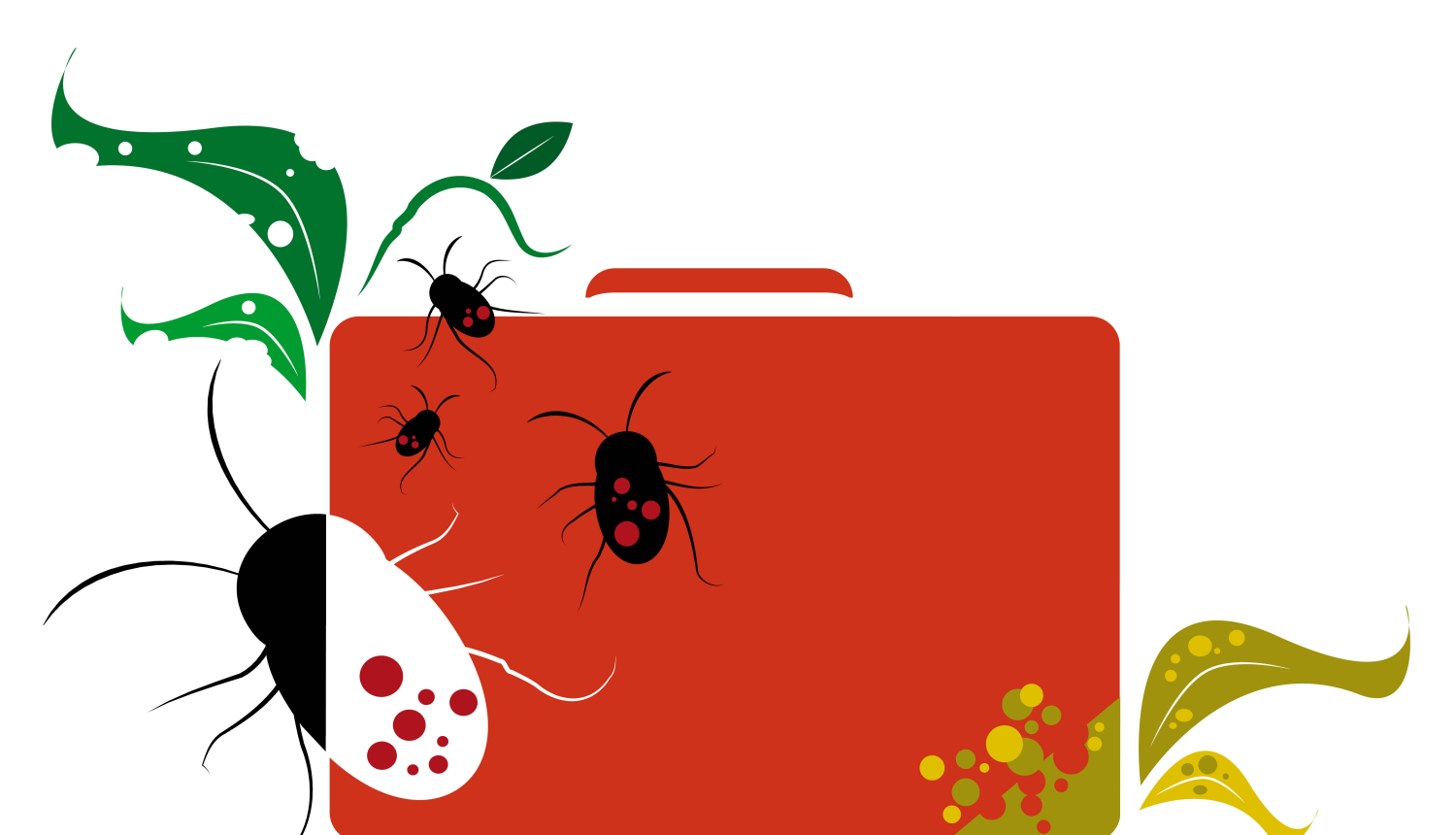 Lidostā “Rīga” notiks akcija “Nepakļauj riskam!”