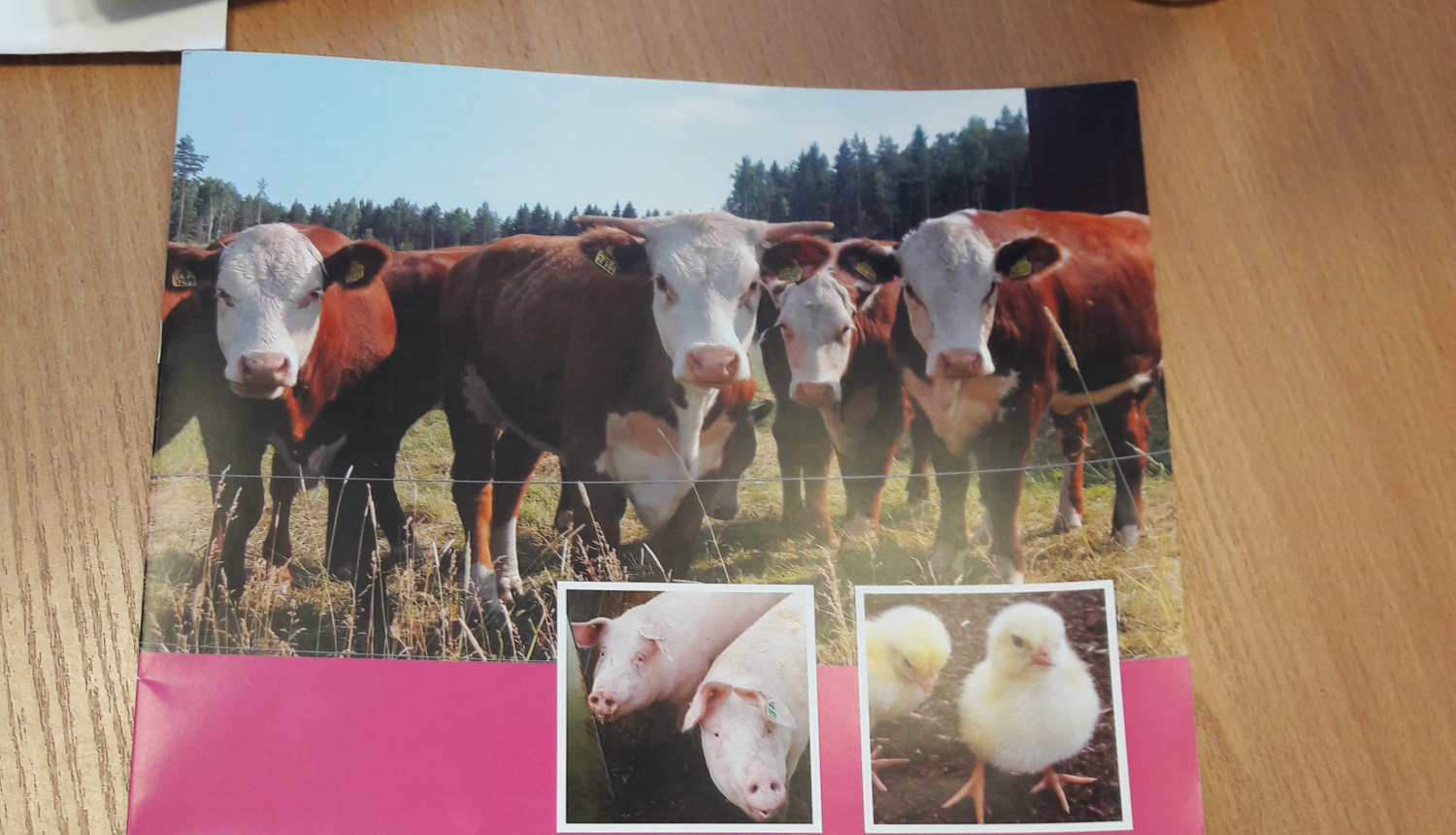 INTERREG projekts "Uzlaboti kūtsmēslu standarti ilgtspējīgai barības elementu pārvaldībai un emisiju samazināšanai" tuvojas noslēgumam