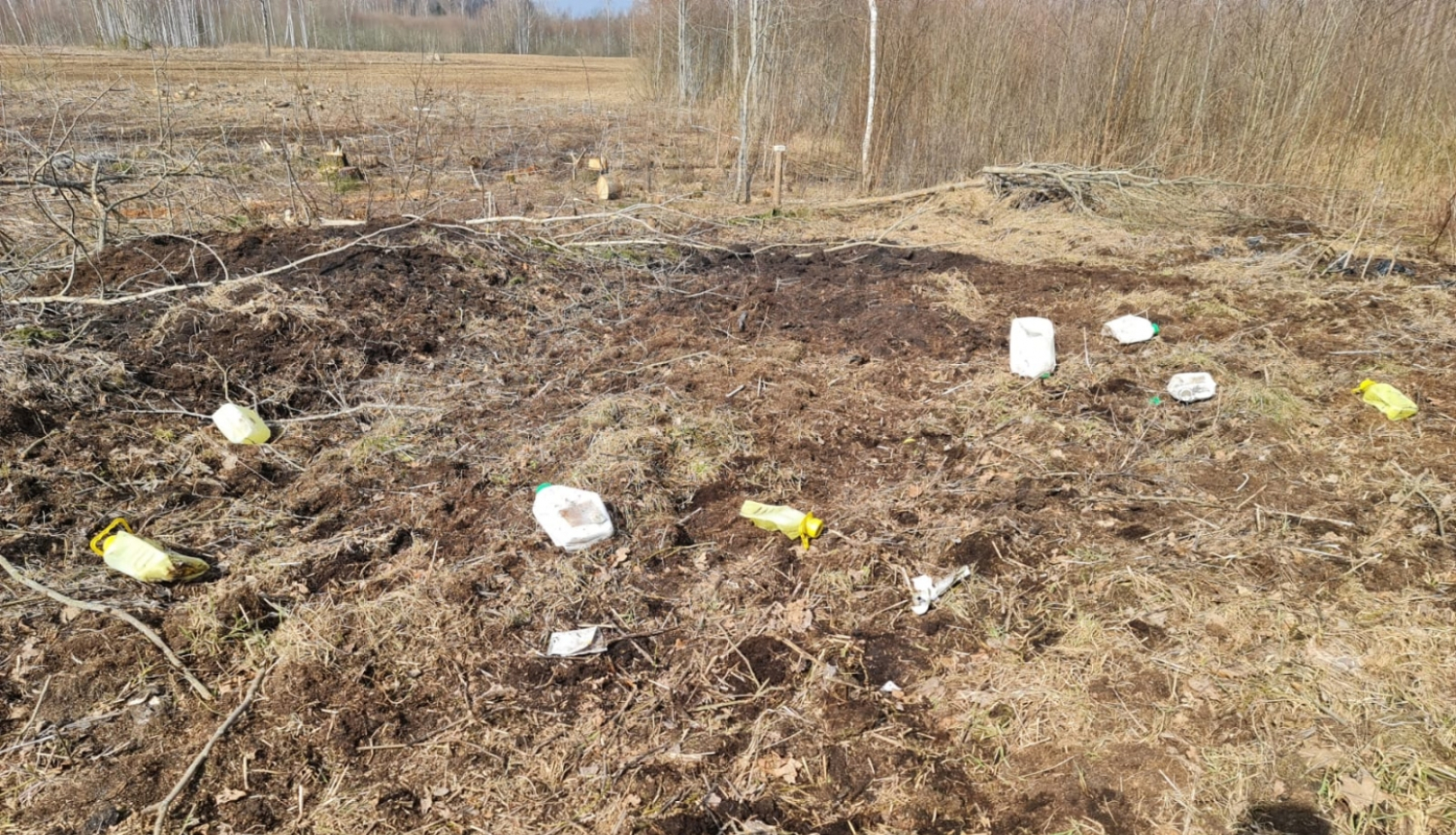 Laukums meža ielokā, kur redzmas izmētātas plastmas kanniņas