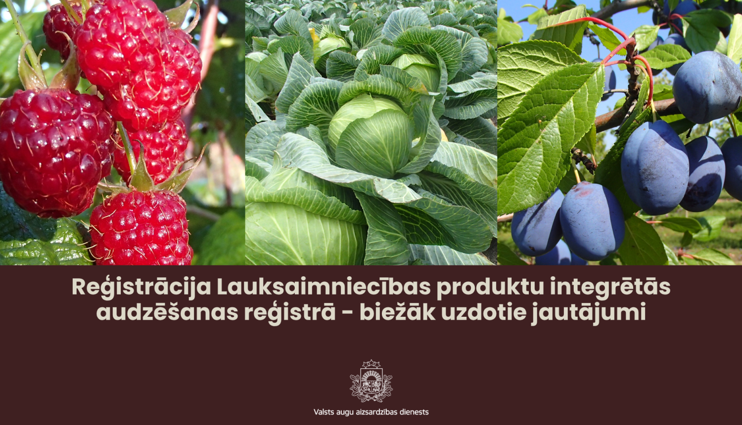 Augšdaļā avenes, kāposti un plūmes kolāžā, apakšdaļā teksts par integretās audzēšanas reģistru