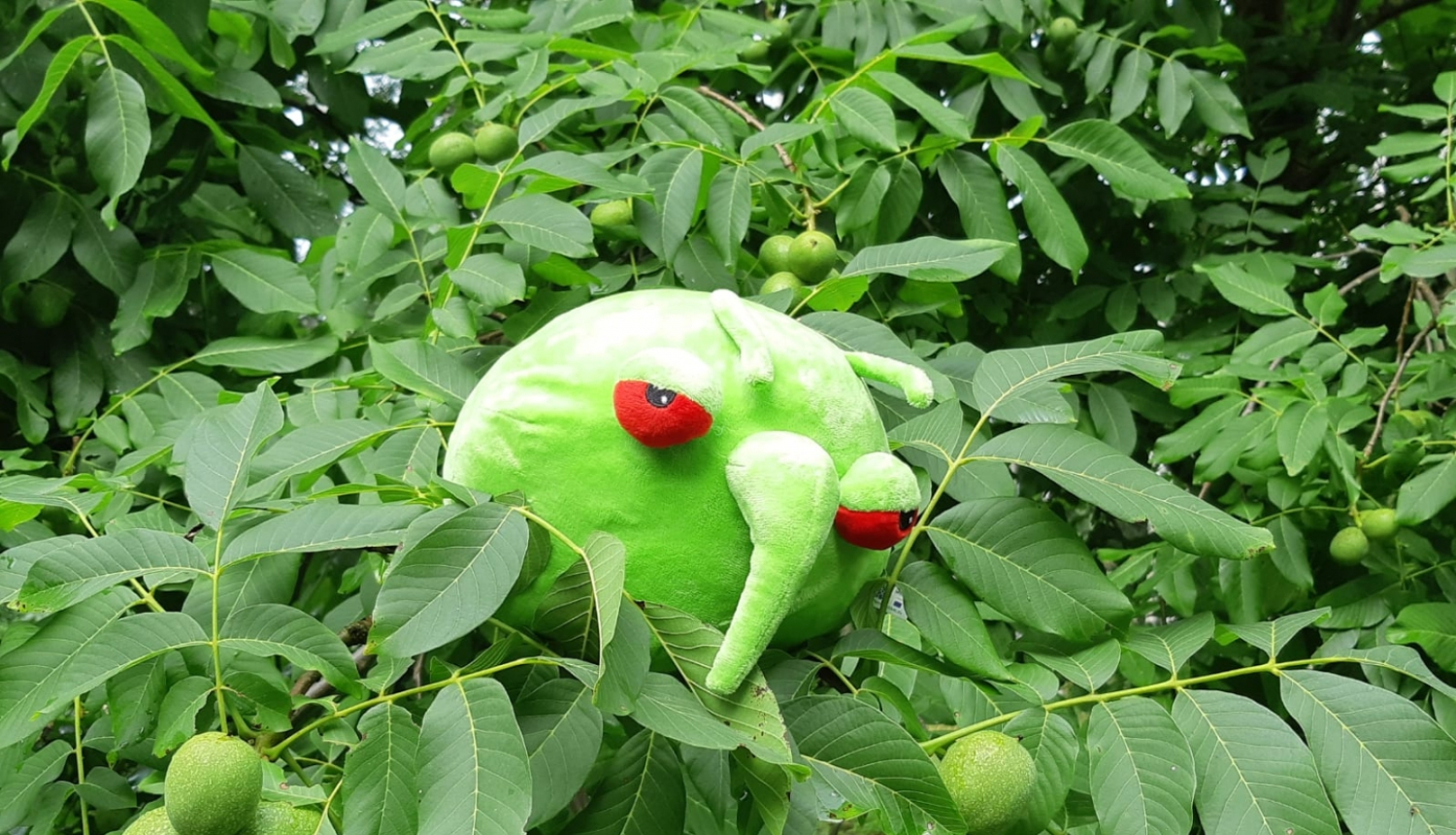 Pestijs - zaļa plīšu apaļa mantiņa ar sarkanām acīm, ielikts augos