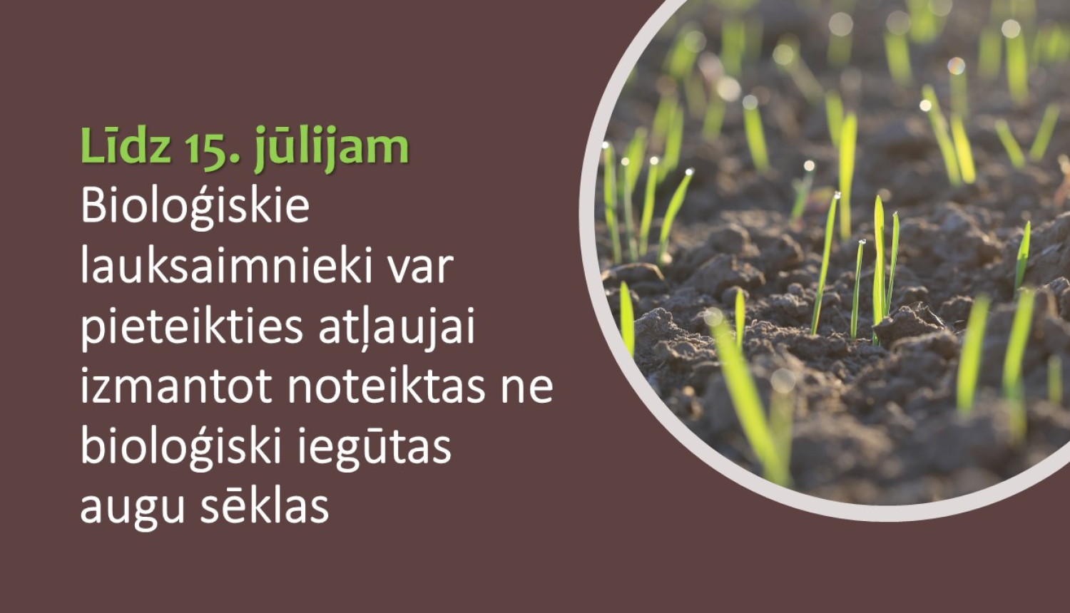 asiņu tuvplānu bilde un teksts