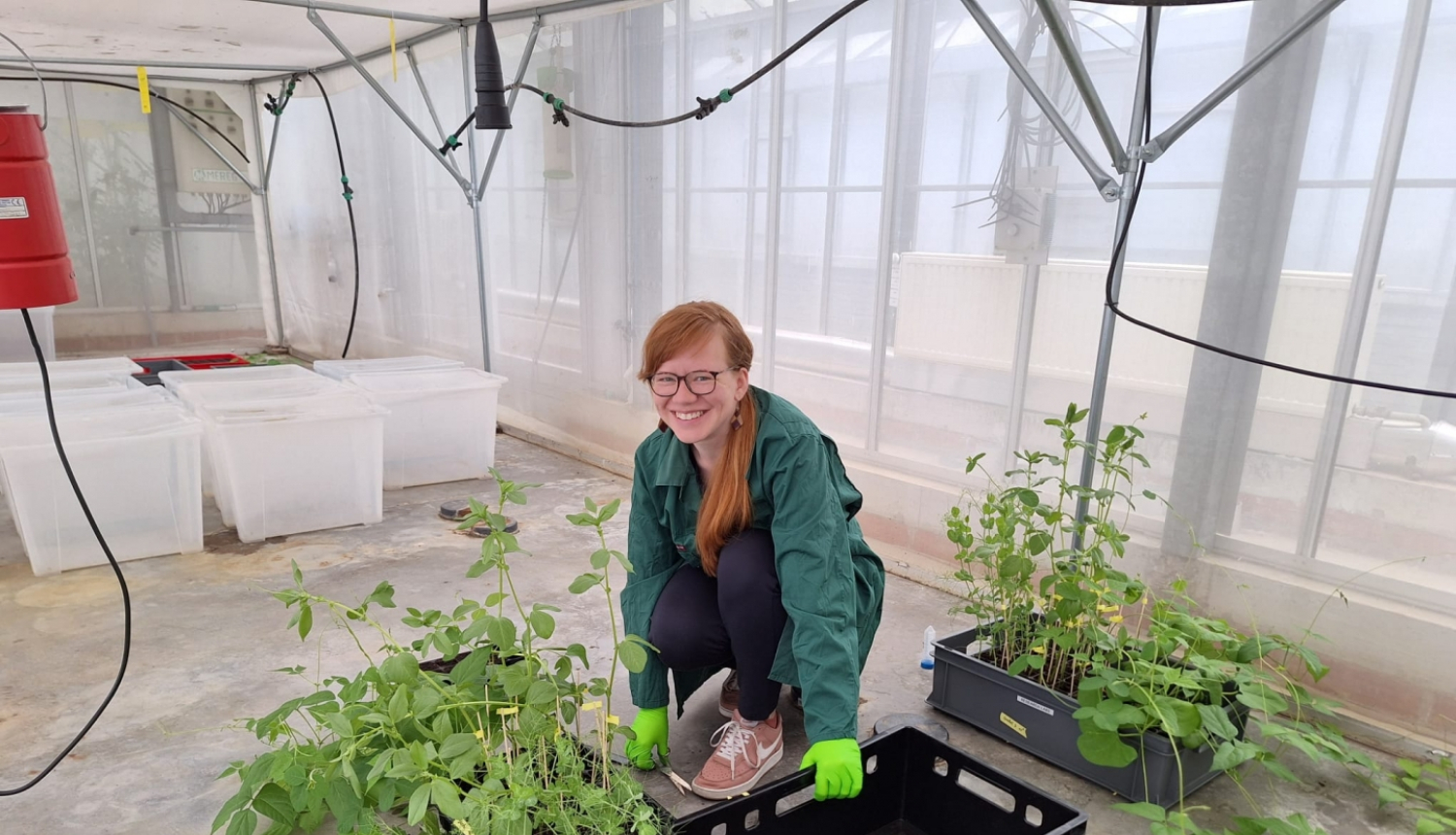 Laura Celma pie ievākto augu paraugu kastes laboratorijas telpās