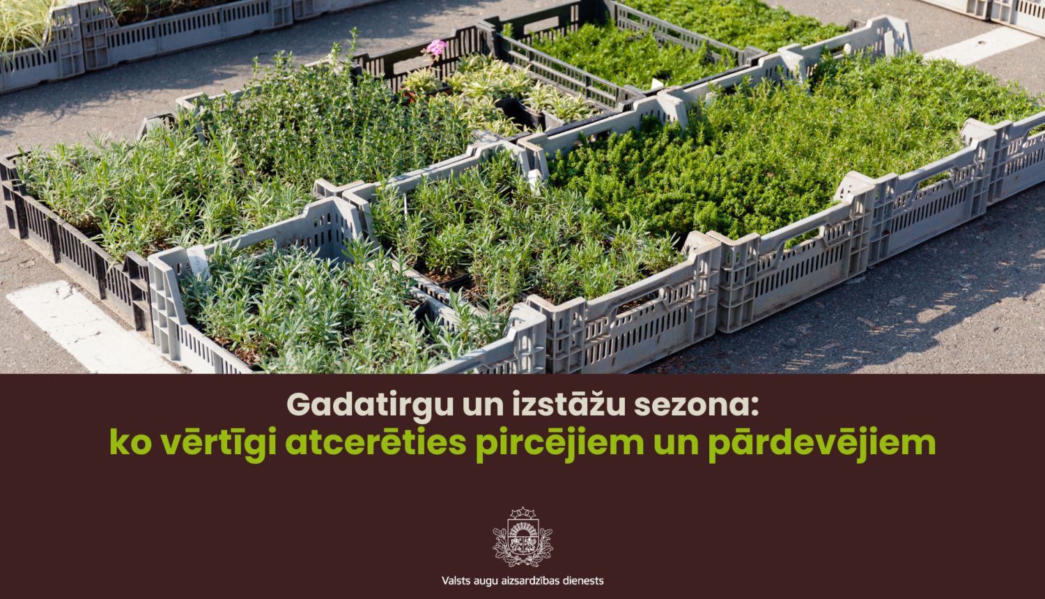Apakšā teksts par atgādinājumu pircējiem un pārdevējiem gadatirgu un izstāžu sezonā, augšā dažādi nelieli stādi kastēs