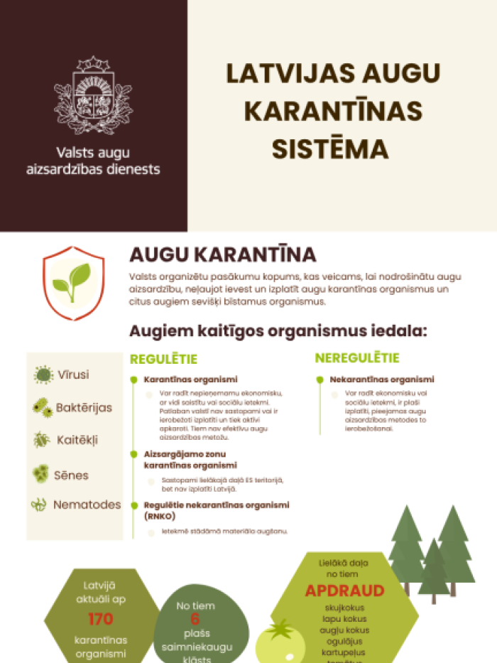 Infografika Valsts augu aizsardzības dienesta krāsu gammā, kurā ilustrēta Latvijas augu karantīnas sistēma
