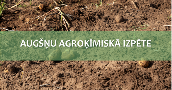 Порно лесбияндық оргиялар