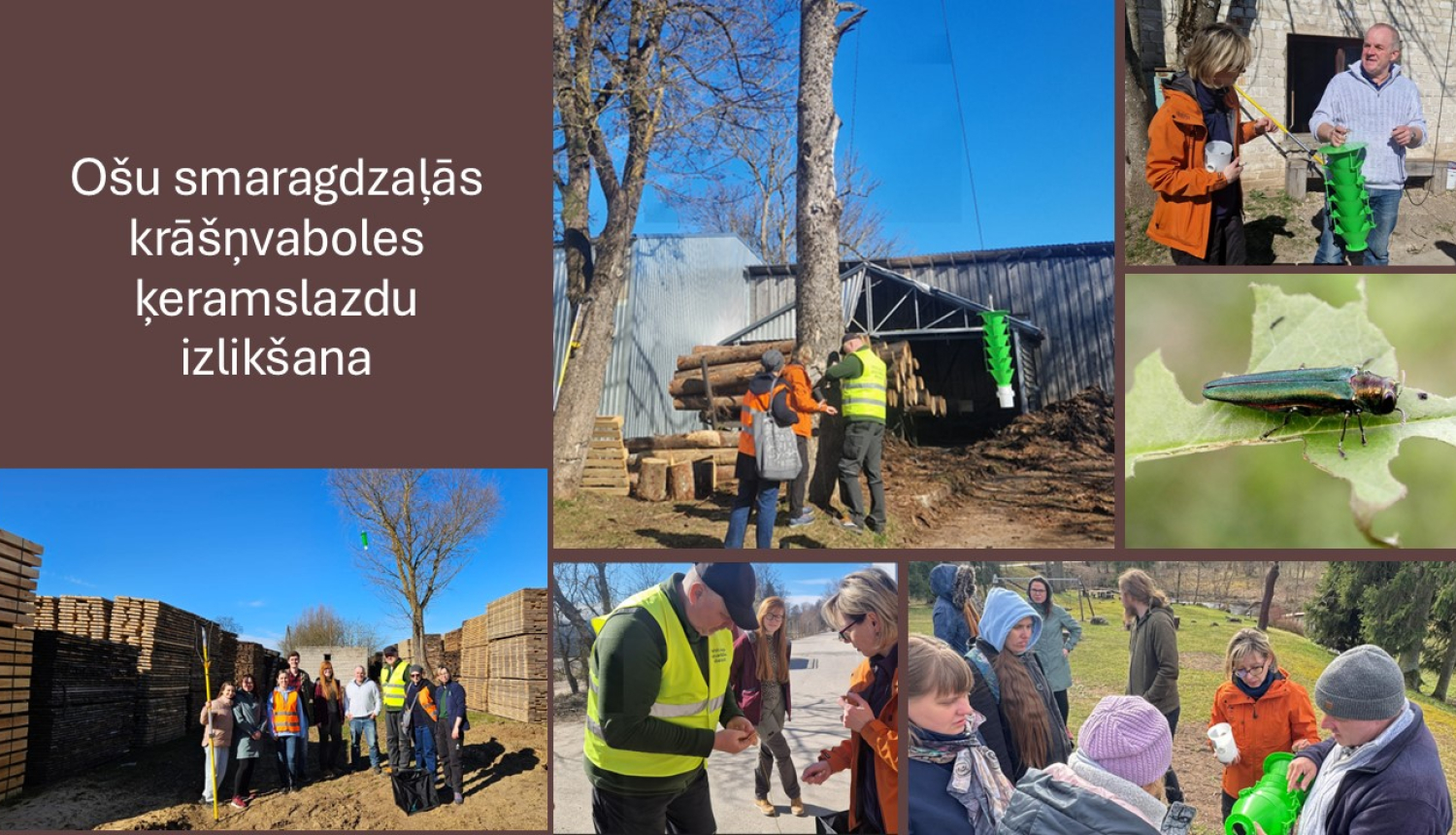 Bilžu kolāža