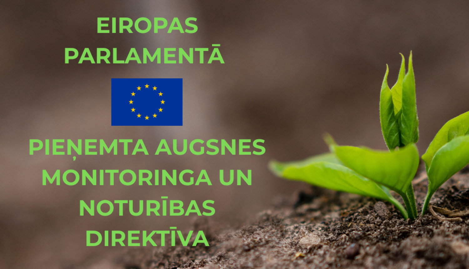 Fonā augsnes tuvplāns ar mazu zaļu audziņu un ziņas virsraksta teksts